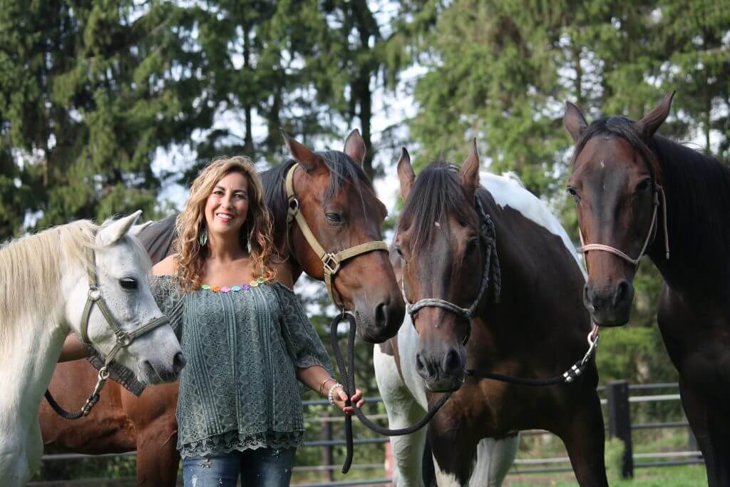 Paardencoaching, equitherapie, therapie met paarden, coaching met paarden